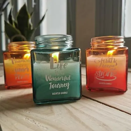 Cozy D'opale Charmant T1 Bord De Mer Cour Privee Et Clot Wifi 3 Pers Animaux Acceptes Gratuit Appartement Berck