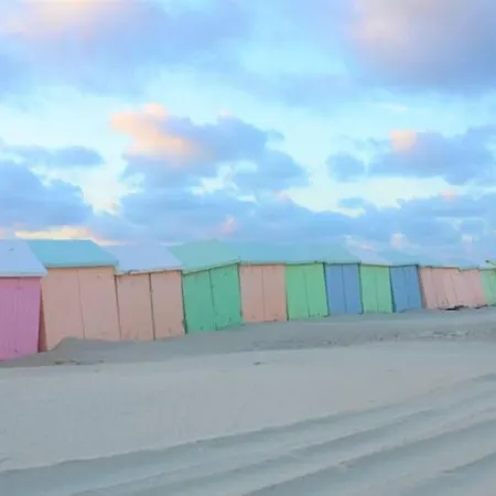 Cozy D'opale Charmant T1 Bord De Mer Cour Privee Et Clot Wifi 3 Pers Animaux Acceptes Gratuit * Berck