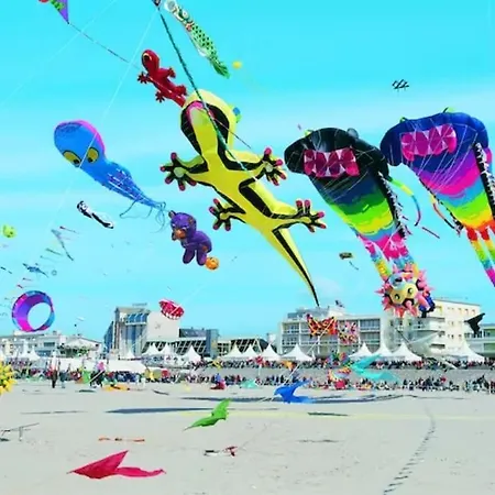 Cozy D'opale Charmant T1 Bord De Mer Cour Privee Et Clot Wifi 3 Pers Animaux Acceptes Gratuit Berck