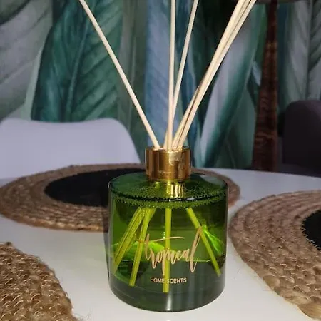 Cozy D'opale Charmant T1 Bord De Mer Cour Privee Et Clot Wifi 3 Pers Animaux Acceptes Gratuit