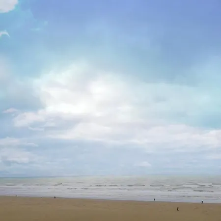 Cozy D'opale Charmant T1 Bord De Mer Cour Privee Et Clot Wifi 3 Pers Animaux Acceptes Gratuit דירה