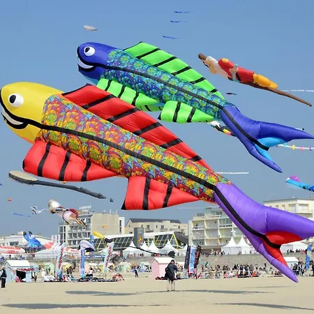 דירה Cozy D'opale Charmant T1 Bord De Mer Cour Privee Et Clot Wifi 3 Pers Animaux Acceptes Gratuit Berck